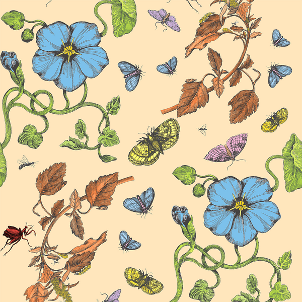 Blooms & Bugs